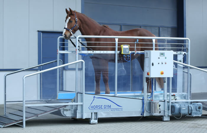 Horse Gym 2000 Treadmill for horses